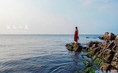 第七色男人天堂